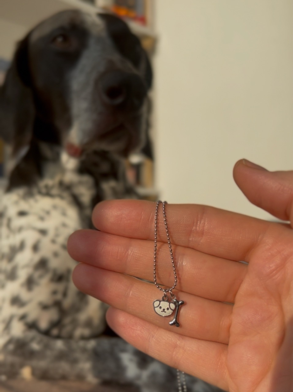 Цепочка I love dogs silver