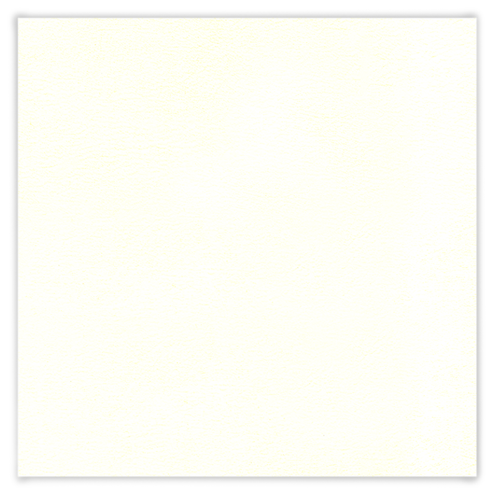 Искусственная кожа «БЕЛАЯ» лимитированная коллекция.