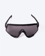 Очки Anteater HighVision-Black