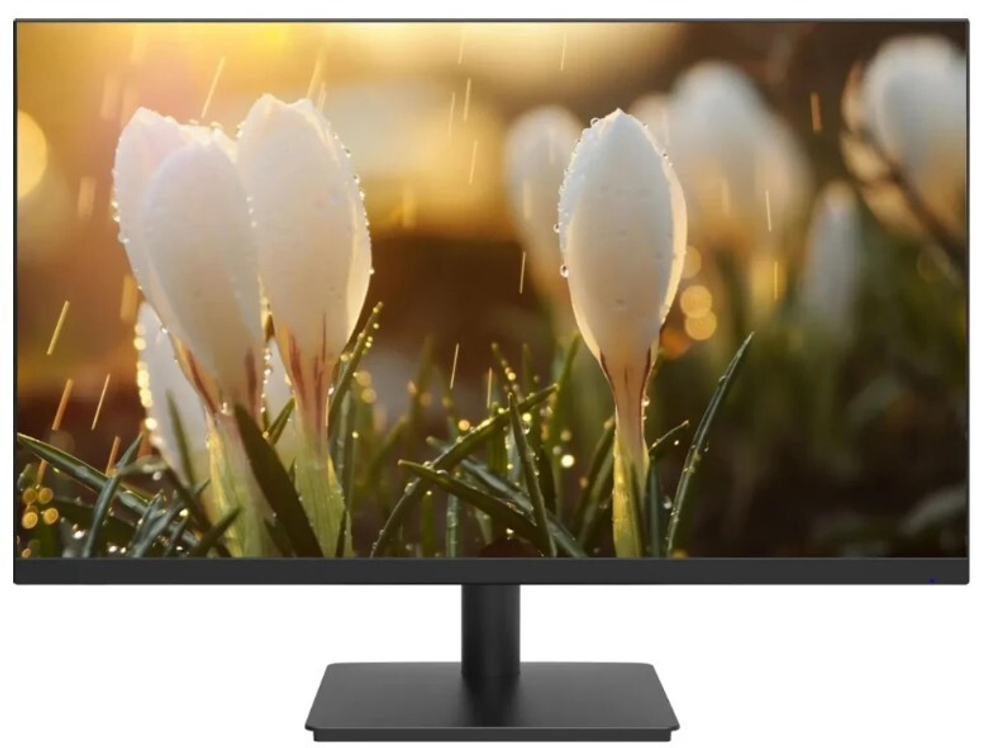 Монитор 23,8" Dahua DHI-LM24-A201A