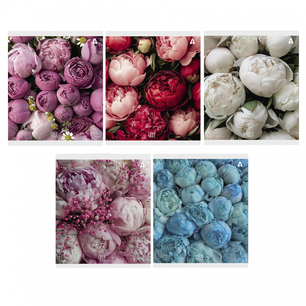 Тетрадь 48л., А5, клетка, Alingar "Нежные цветы", скрепка, мелованый картон ( стандарт), блок офсет, 5 дизайнов в пленке т/у