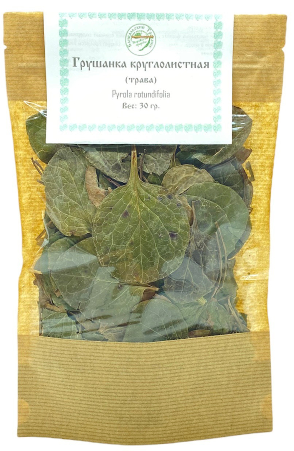 Грушанка круглолистная