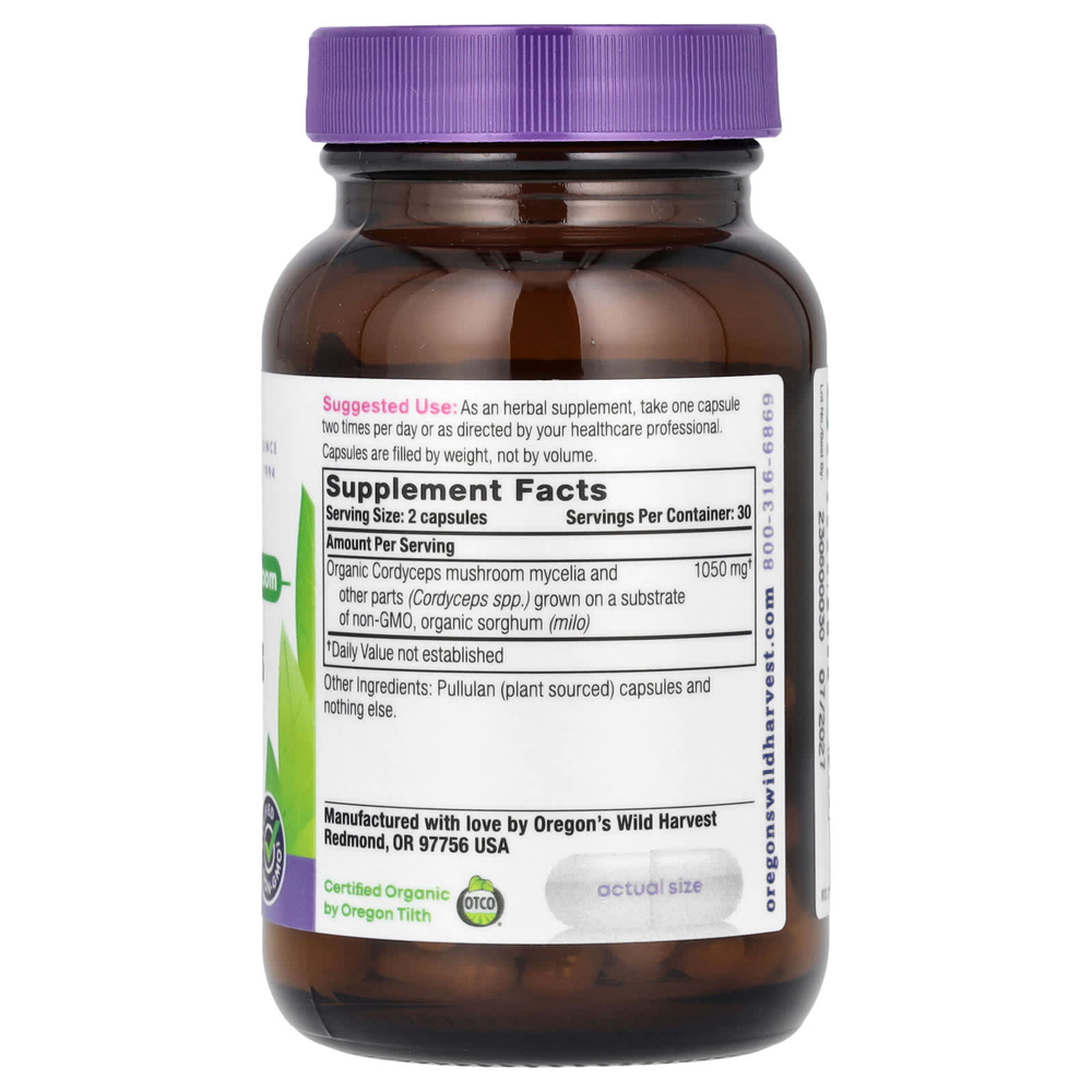 Oregon's Wild Harvest, Кордицепс, 60 веганских капсул (525 мг на капсулу)