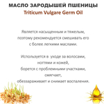 Масло зародышей пшеницы / Triticum Vulgare Germ Oil