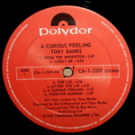 Tony Banks / A Curious Feeling (LP)