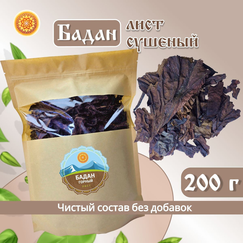 Бадан горный лист