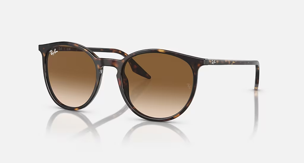 RAY-BAN RB2204 902/51