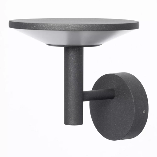 Уличный настенный светодиодный светильник Citilux Dorn CLU05W LED