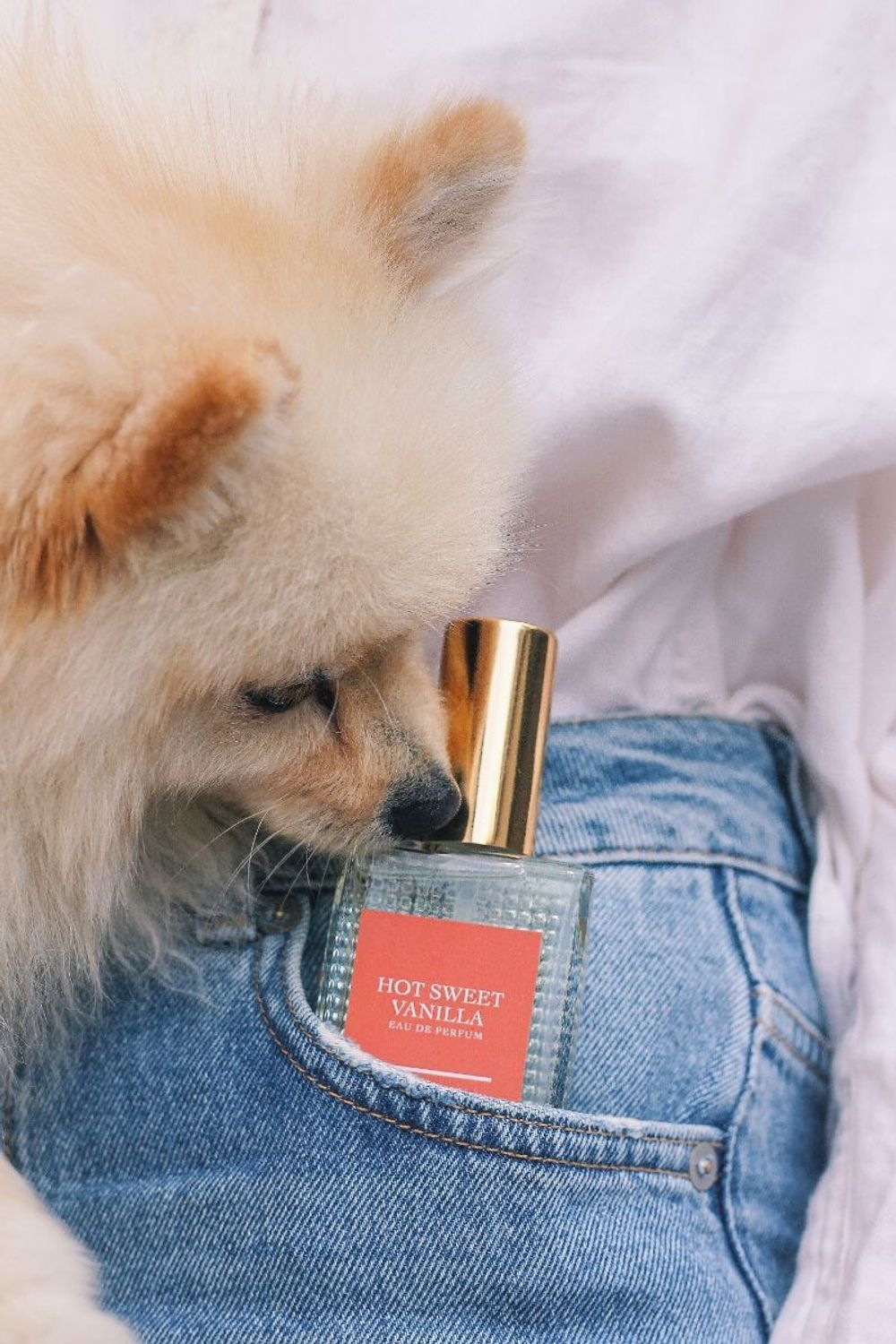 Neglige Perfume Lab Hot Sweet Vanilla