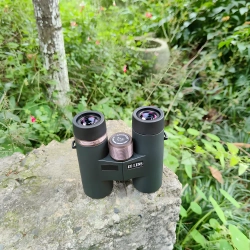 Бинокль Sturman 8x32 ED - стоит на камне в саду