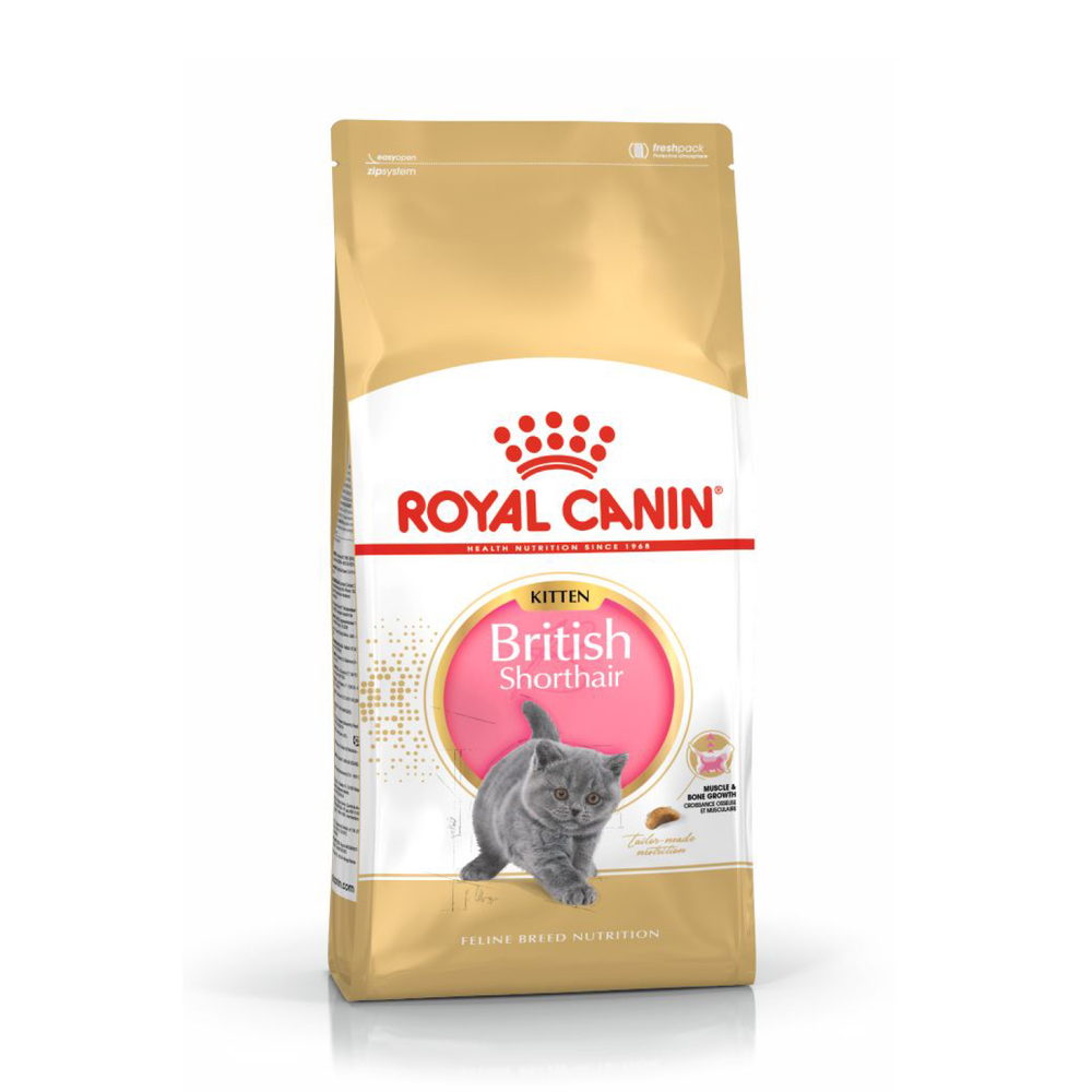Royal Canin British Shorthair Kitten Корм сухой сбалансированный для британских котят 10 кг