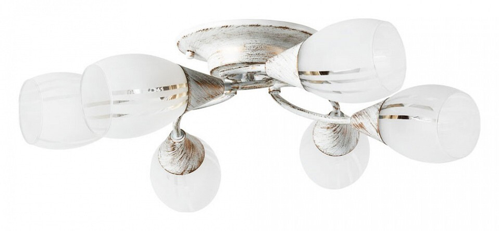 Накладная люстра Arte Lamp A2701PL-6WG