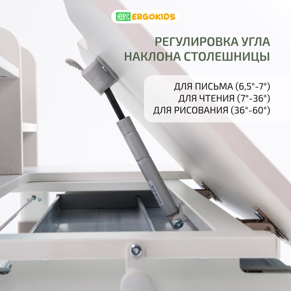Растущая парта Ergokids Argo-2