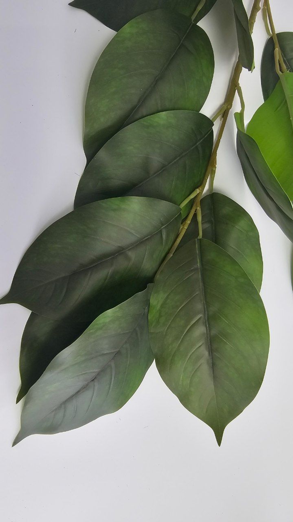 Магнолия / Арт 3061