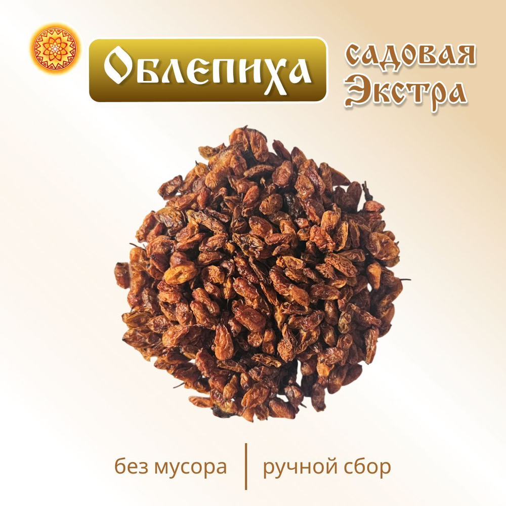 Облепиха Садовая Экстра, 100 г.
