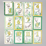 4779924 Набор карточек для фотосессий, Дисней