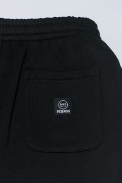 Штаны THE BAD FRIENDS Basic fit WRM черный Ш4 начес flecee