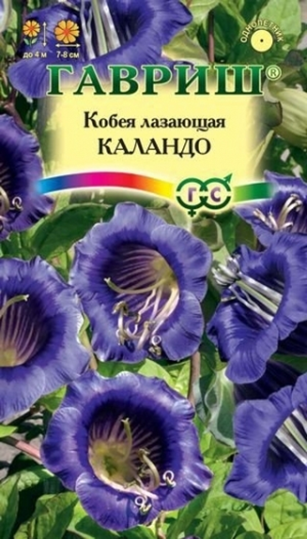 Цв. Кобея лазающая Каландо 5шт (Гавриш)