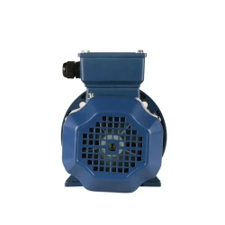 Электродвигатель трехфазный 5АИ 63 В2 IM 2081 0.55 кВт 3000 об/мин