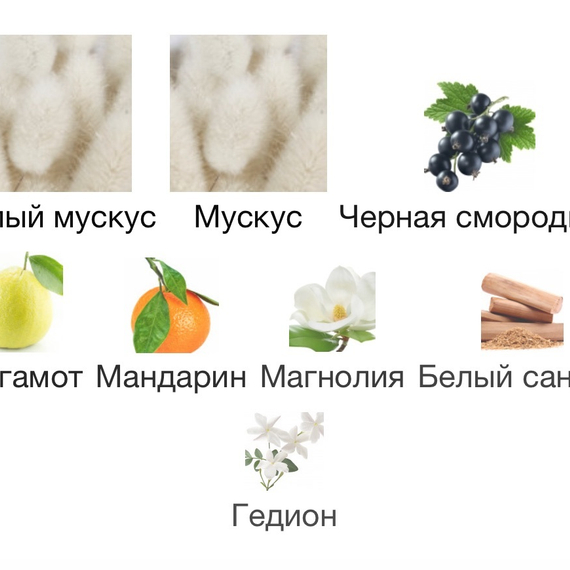 INITIO PARFUMS PRIVES Musk Therapy