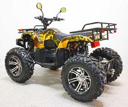 Квадроцикл GreenCamel Сахара A3000 (72V 3000W R12 alum Дифференциал)