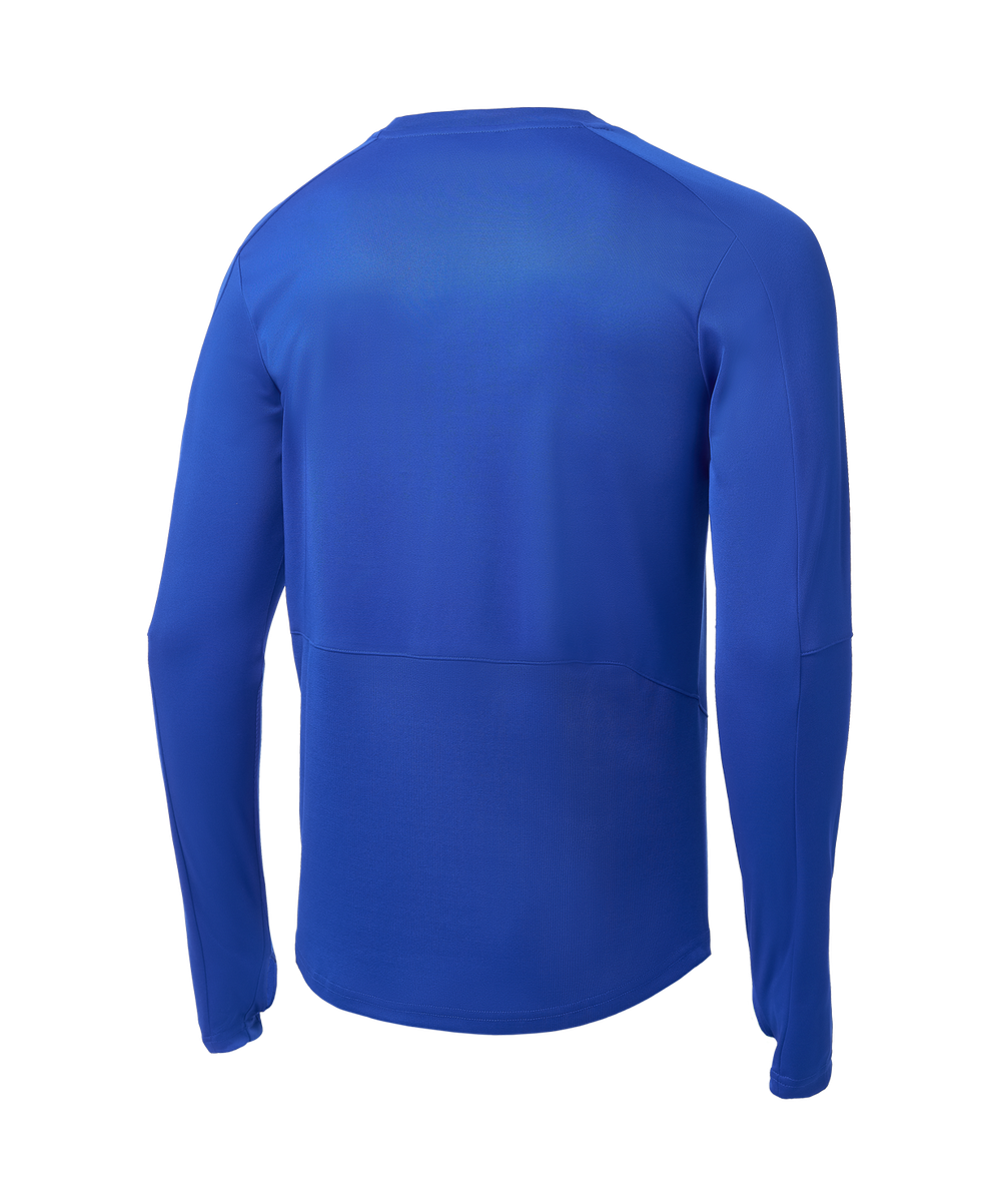 Джемпер тренировочный DIVISION PerFormDRY Pro Training Top, синий