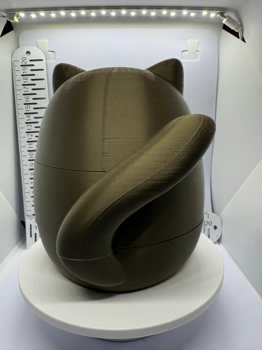 Шкатулка "Котик"