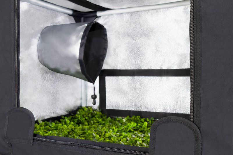 Пропагатор для рассады PROBOX PROPAGATOR S