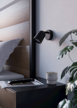 Настенный светильник Eglo CAMALDOLI 901952