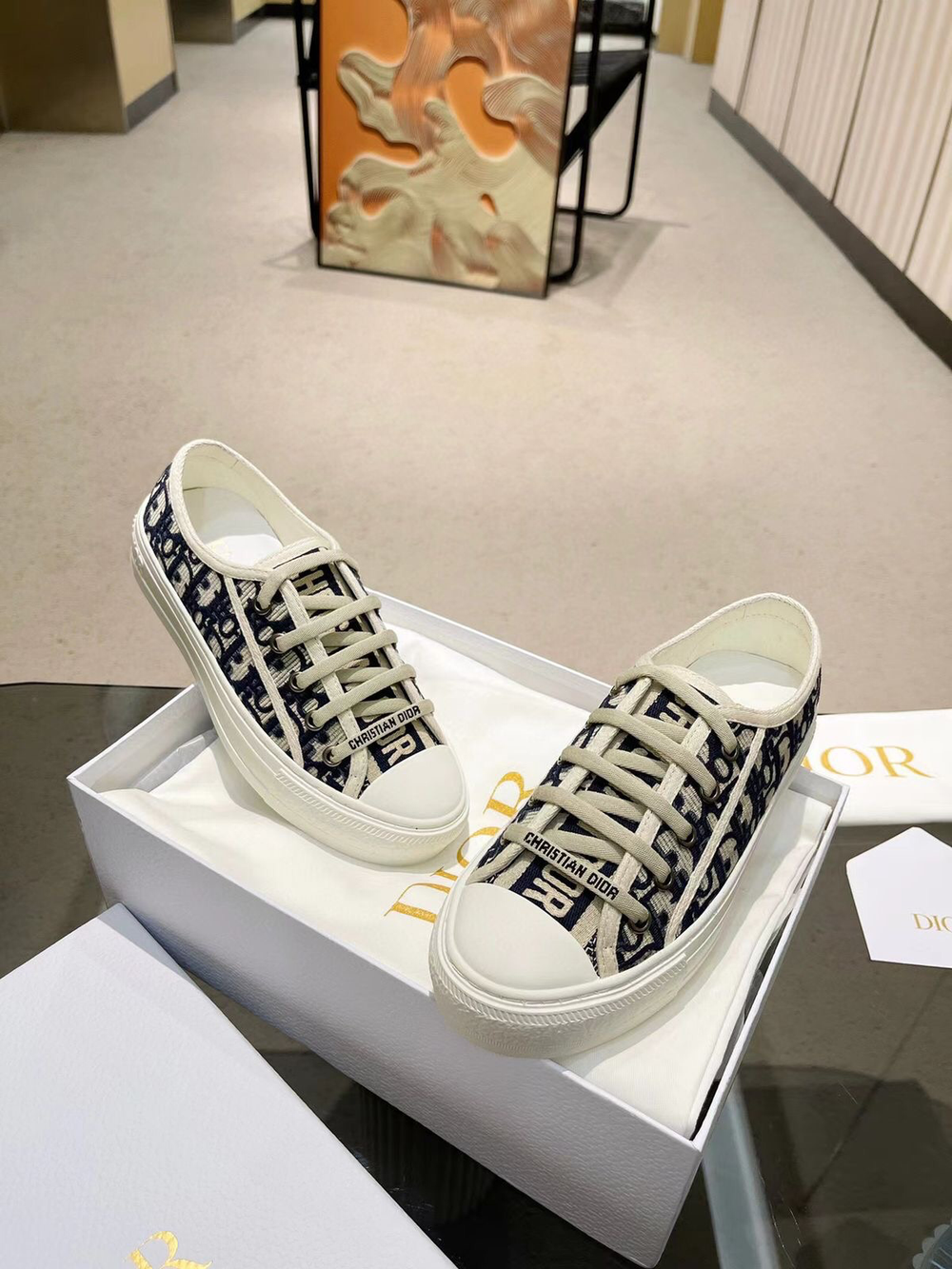 Кеды Christian Dior