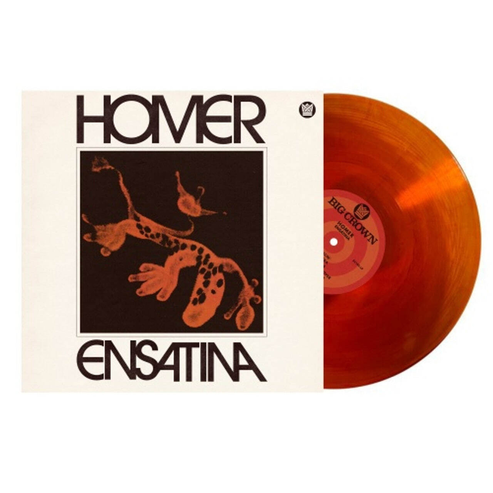 Homer - Ensatina - Orange LP