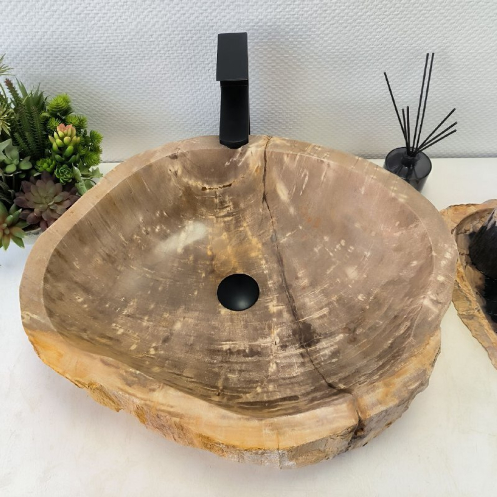 Раковина из окаменелого дерева FossilBasin OD-62416 59*49*15