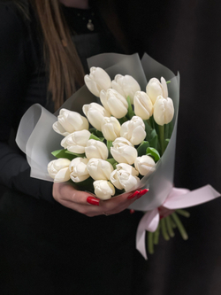 19 белоснежных тюльпанов