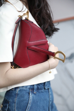 Christian Dior Saddle Bag 21 cm