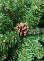 Ель с шишками «Снежная королева зелёная» (Пвх) от 1,2 м до 2,7 м