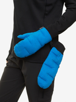 ВАРЕЖКИ ПУХОВЫЕ BASK D-TUBE CHESSMITTS