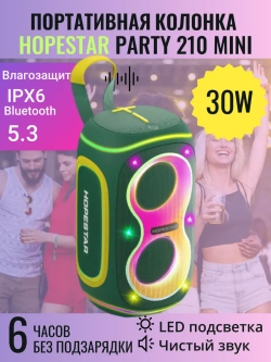 Портативная колонка Party 210 mini , 30 Вт, зеленый