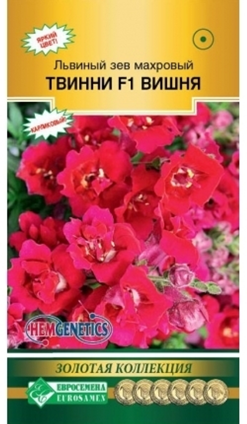 Львиный зев махровый Твинни F1 Вишня