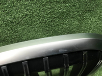 Решетка радиатора BMW X7 G07 (2022-н.в.)