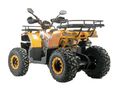 Квадроцикл 200 ALL ROAD X