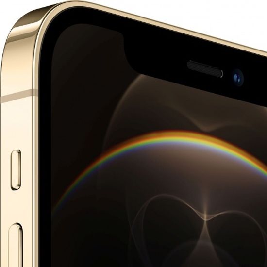 Apple iPhone 12 Pro 256GB Gold (Золотистый)
