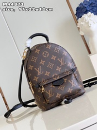Louis Vuitton Palm Springs Mini