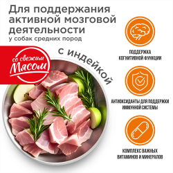 Корм сухой для взрослых собак средних пород, премиум полнорационный комплекс, забота о памяти и мозговой активности, с индейкой, 2,5 кг, QUATTRO