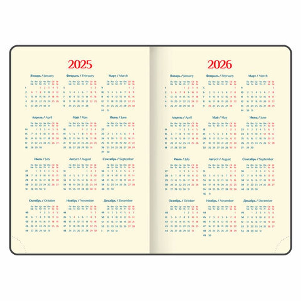 Ежедневник датированный 2025 А5 148х218 мм GALANT "Magnetic", под кожу, клапан, коричневый, 115709