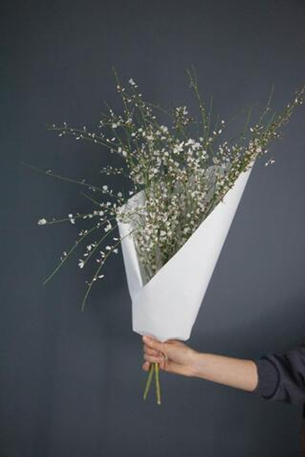 Монобукет Гениста White