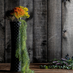 Растение ALLIUM фиолетового цвета