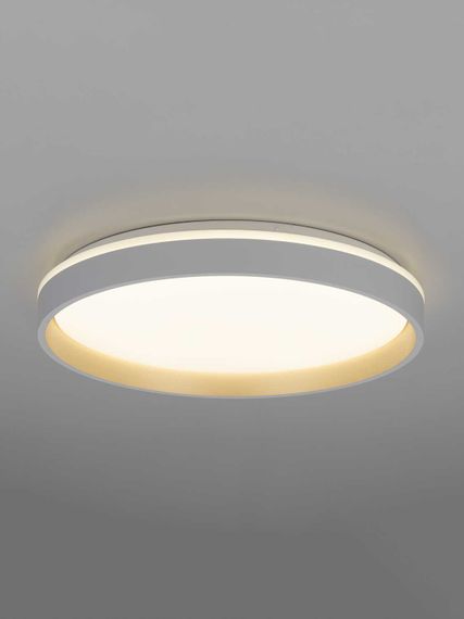 Светильник потолочный Citilux ENZO CL753450G