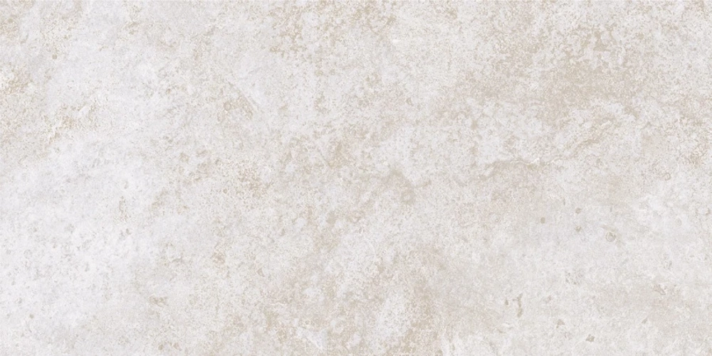 Керамическая Плитка Облицовочная PRIMAVERA/ТШ Бианор светло-серая (ТР3619АМ) 300х600х8,5 1,8/86,4