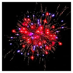 Батарея салютов "Букет" (1,2 х 19)