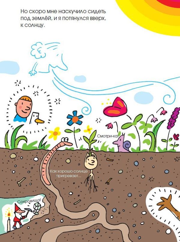 Жизнь и приключения синьора Вишни